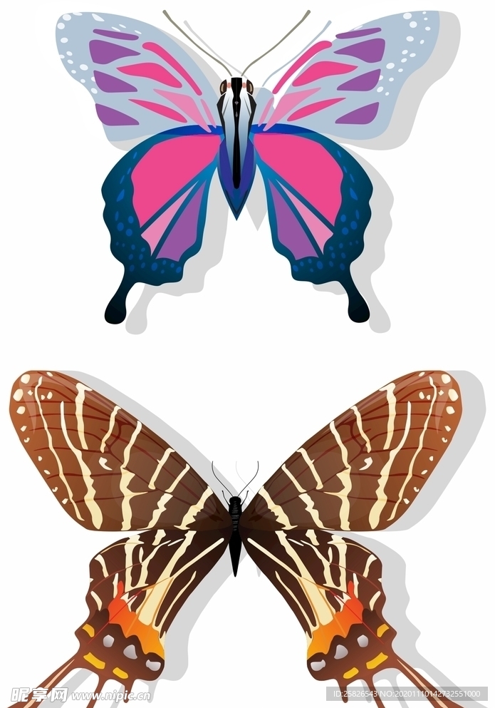 蝴蝶 矢量