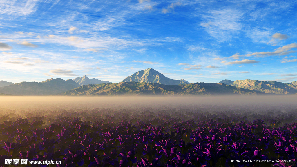 风景