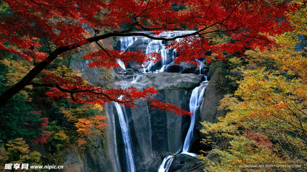 风景