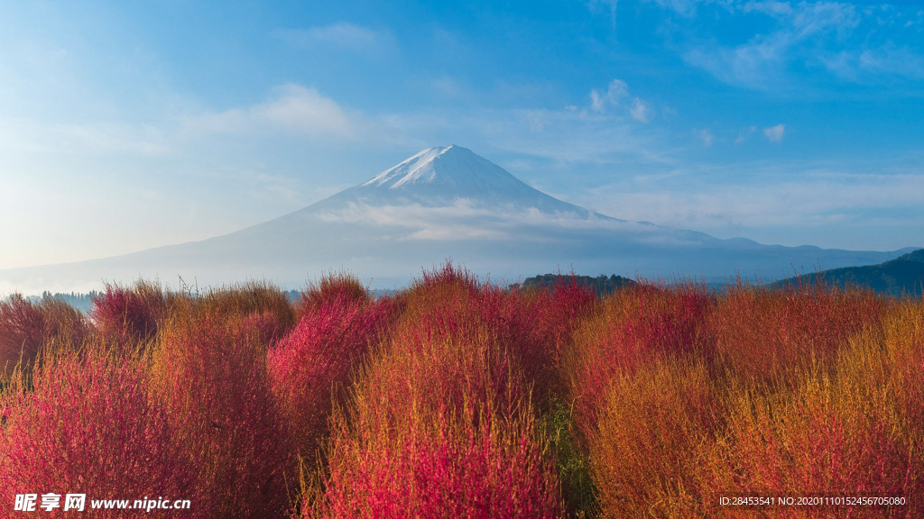 风景
