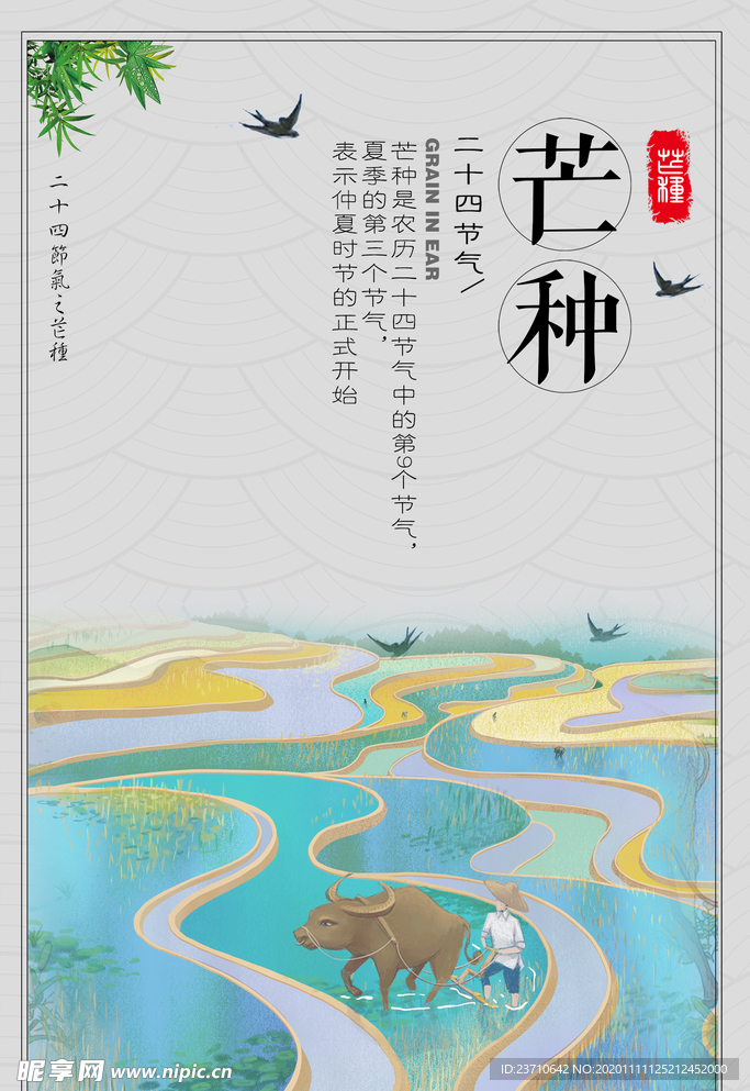 芒种