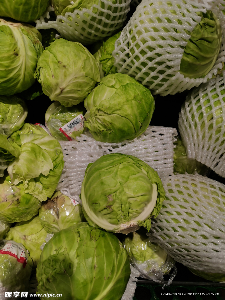包菜