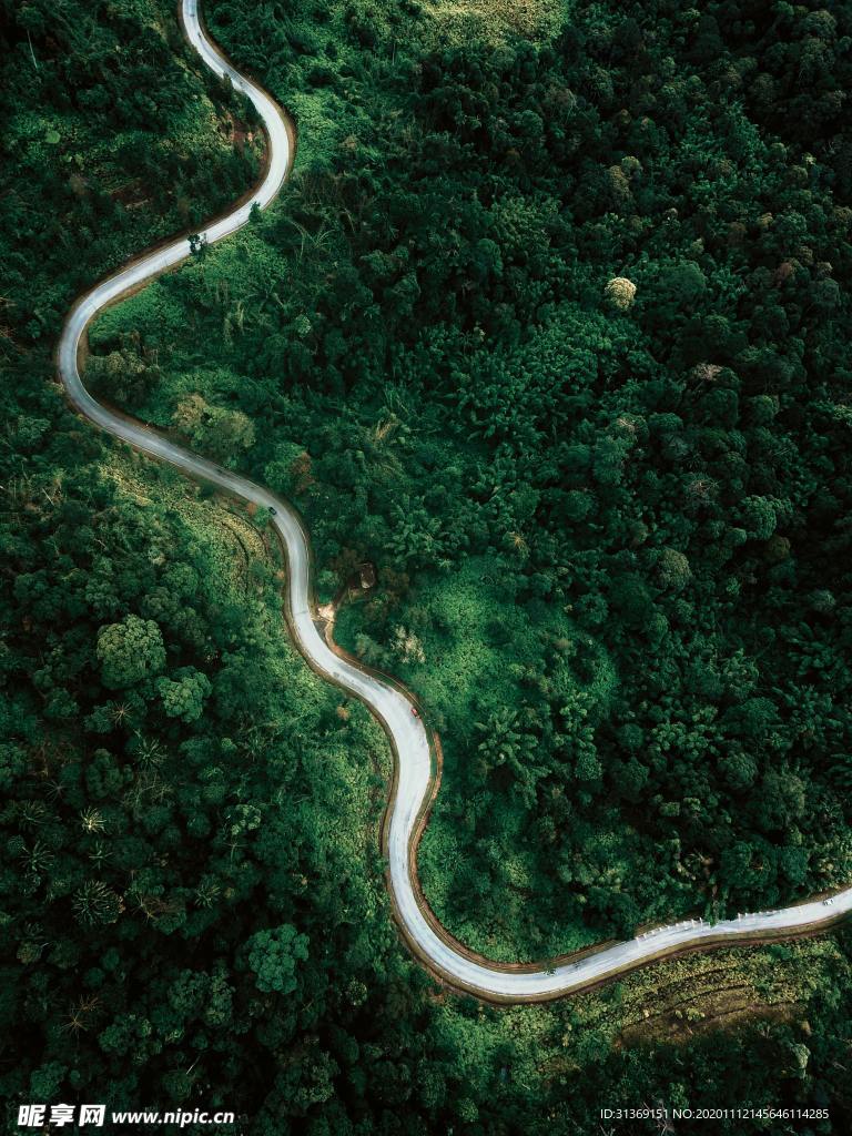 森林盘旋公路