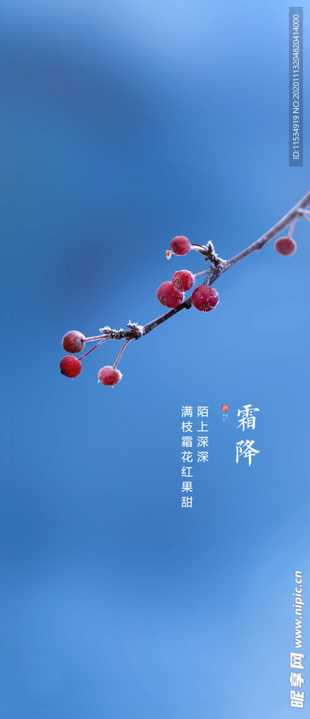 霜降节气海报