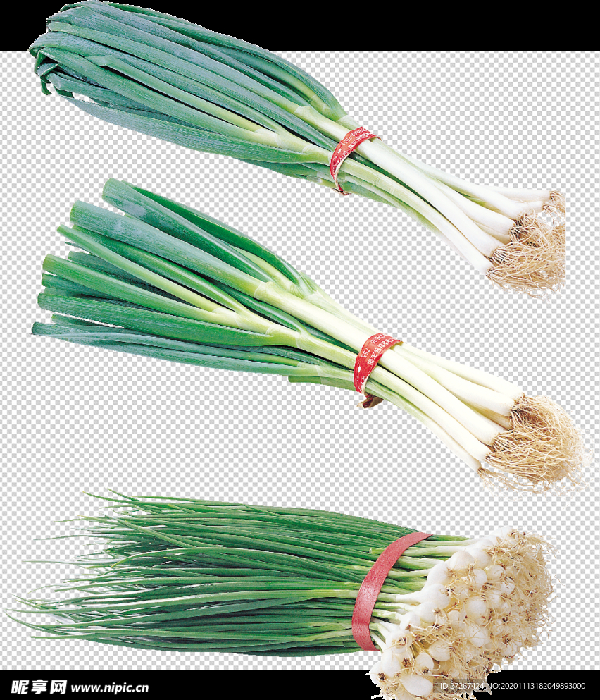 蒜苗 葱