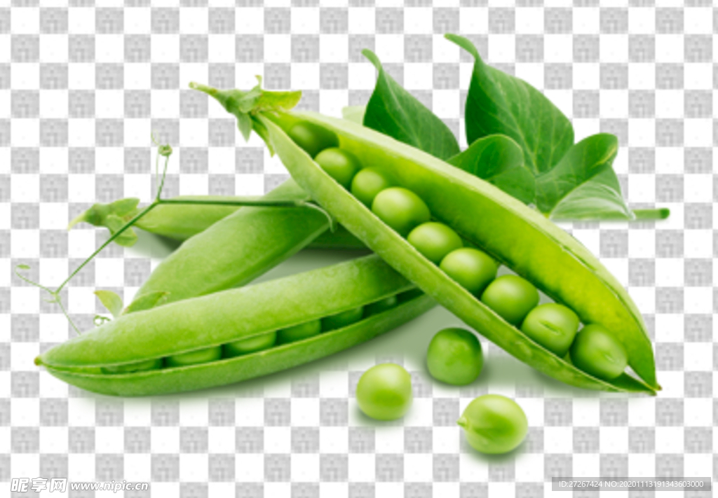 豌豆 绿豆