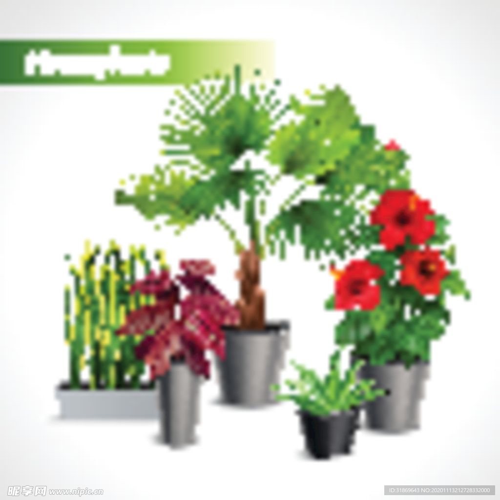 盆栽 植物 摆件