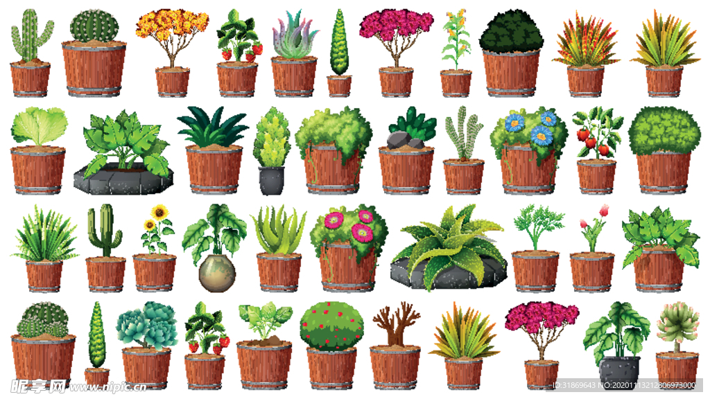 盆栽 植物 摆件