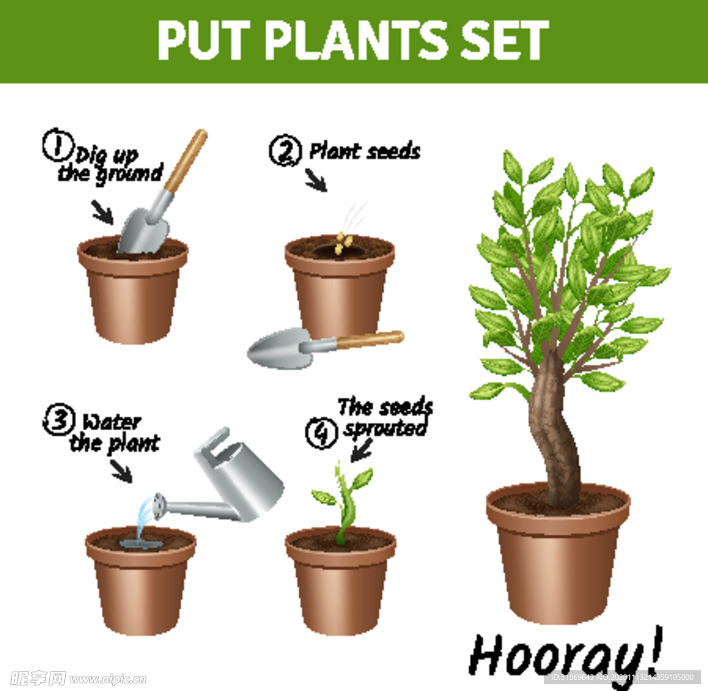 盆栽 植物 摆件