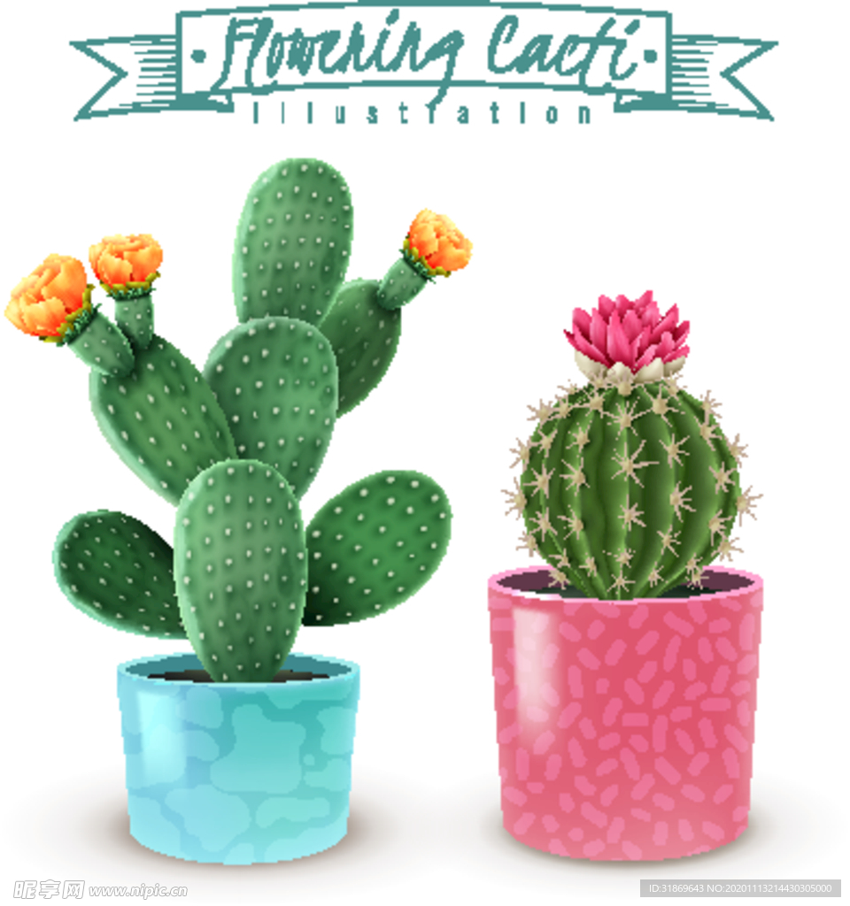 盆栽 植物 摆件