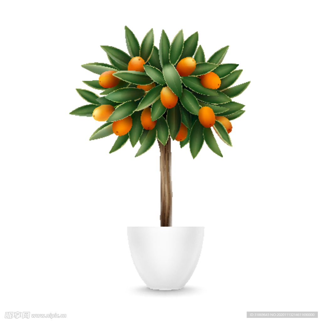 盆栽 植物 摆件