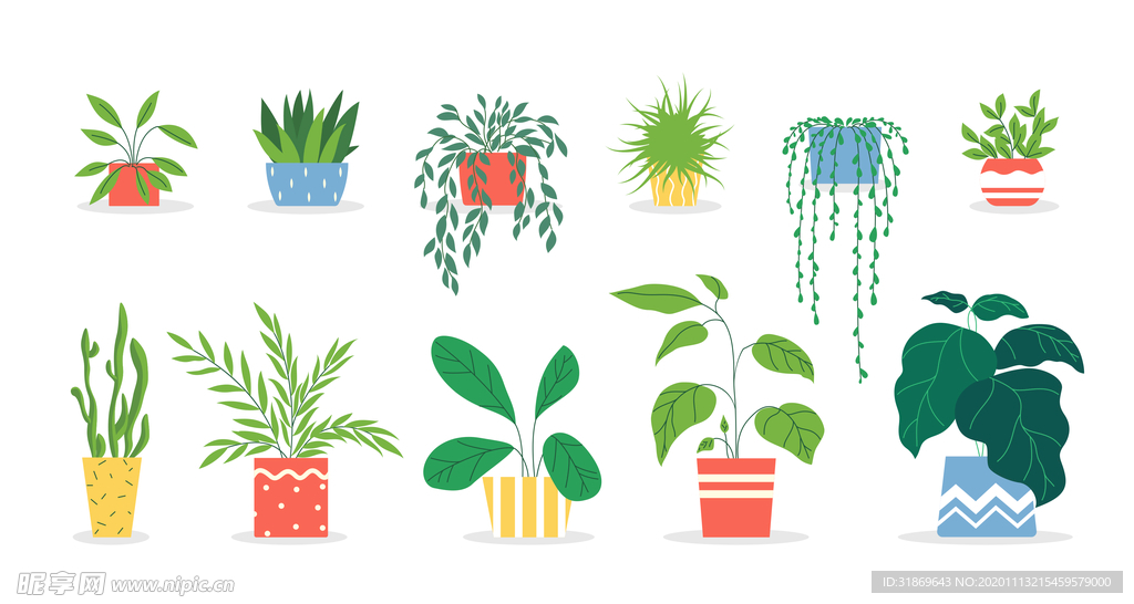 盆栽 植物 摆件