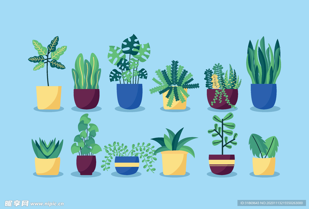 盆栽 植物 摆件