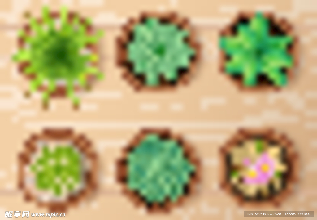 盆栽 植物 摆件