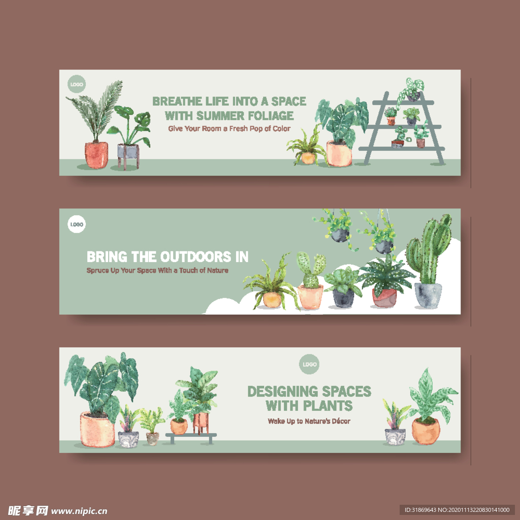 盆栽 植物 摆件