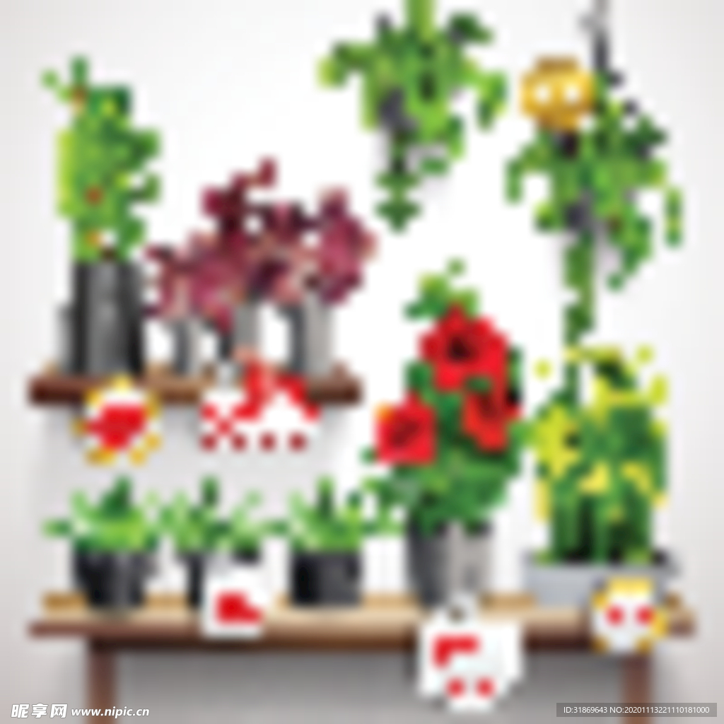 盆栽 植物 摆件