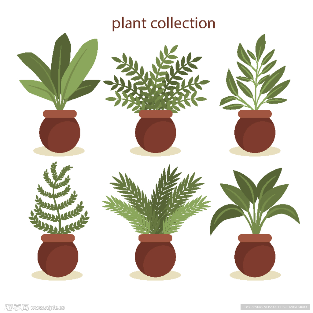 盆栽 植物 摆件