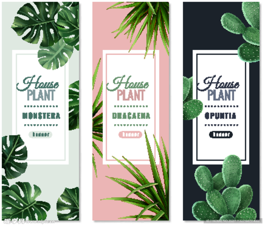 盆栽 植物 摆件