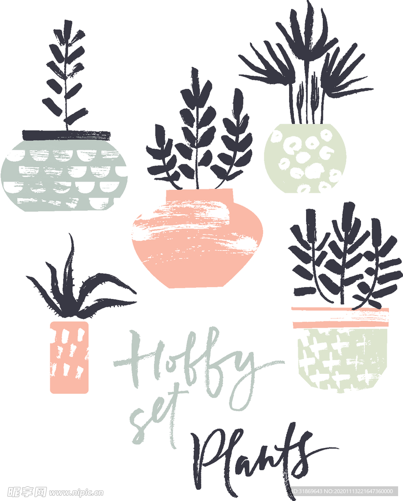 盆栽 植物 摆件