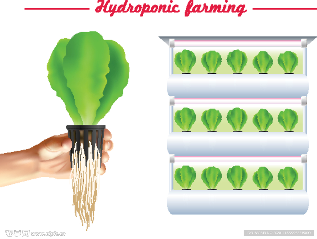 盆栽 植物 摆件