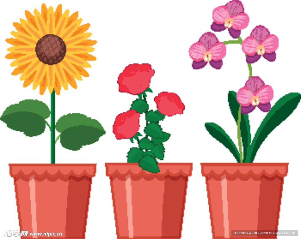 盆栽 植物 摆件