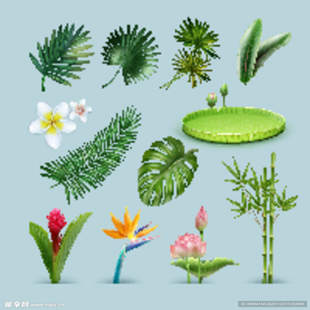 盆栽 植物 摆件