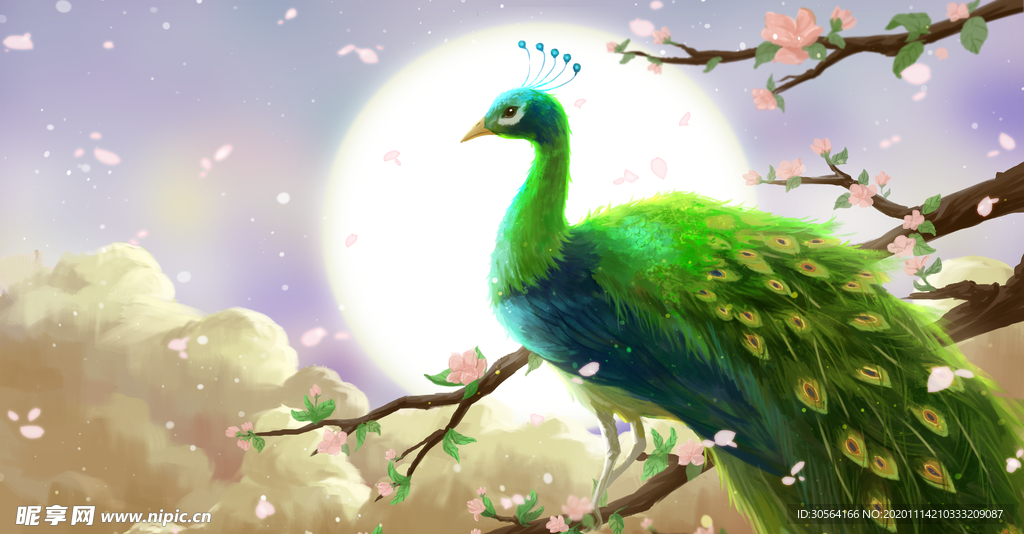 孔雀插画传统复古背景海报素材