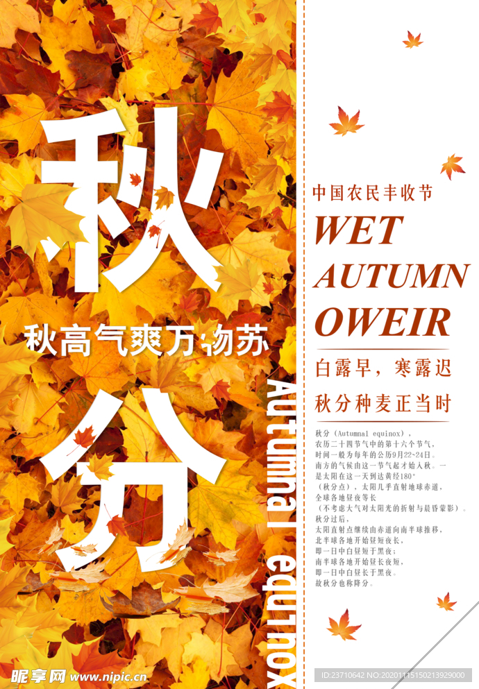 秋分