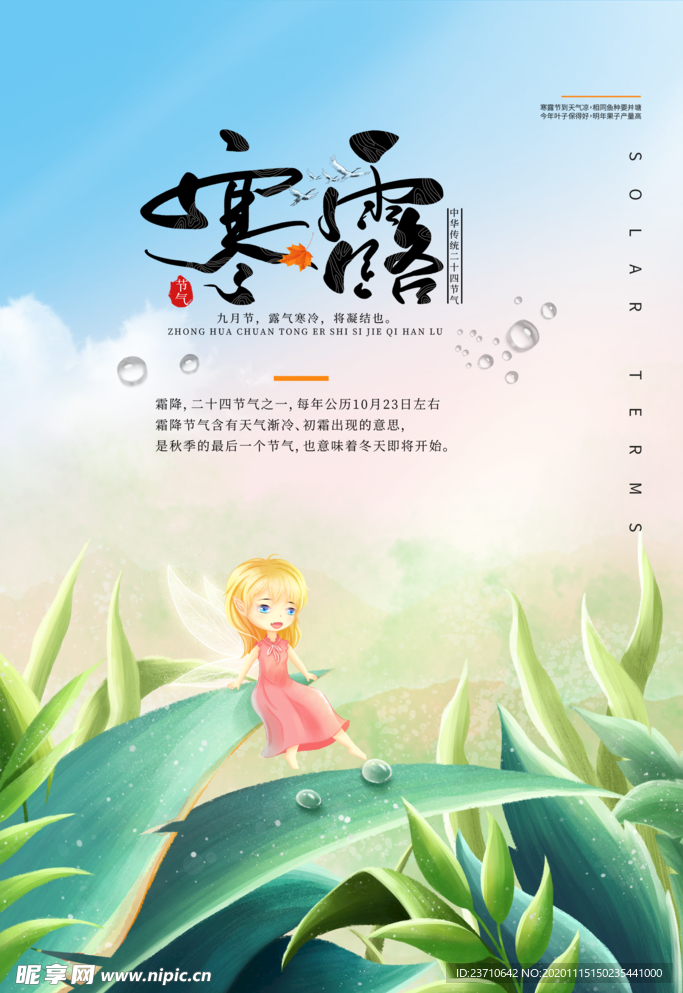 寒露