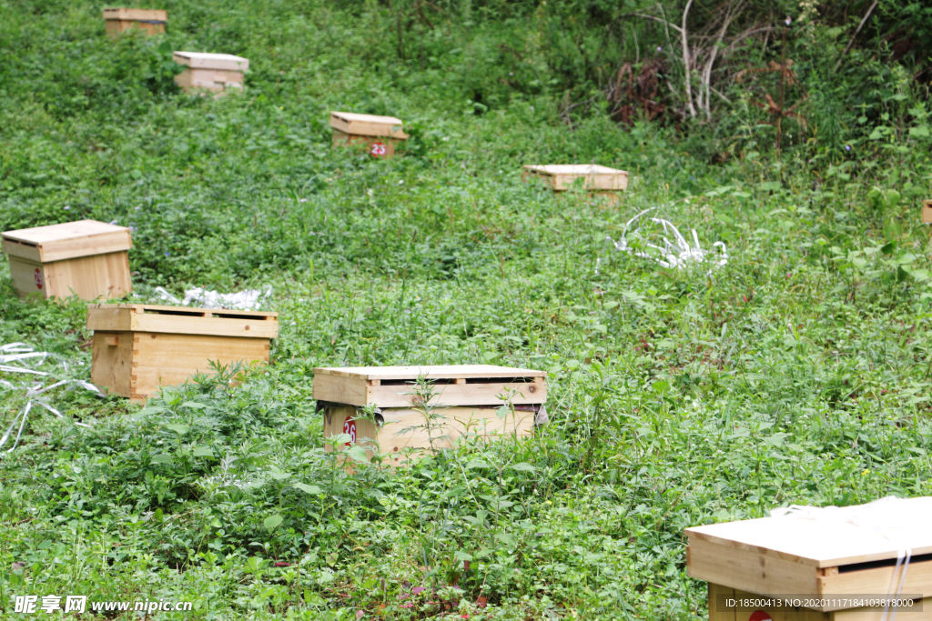 养蜂场蜂箱