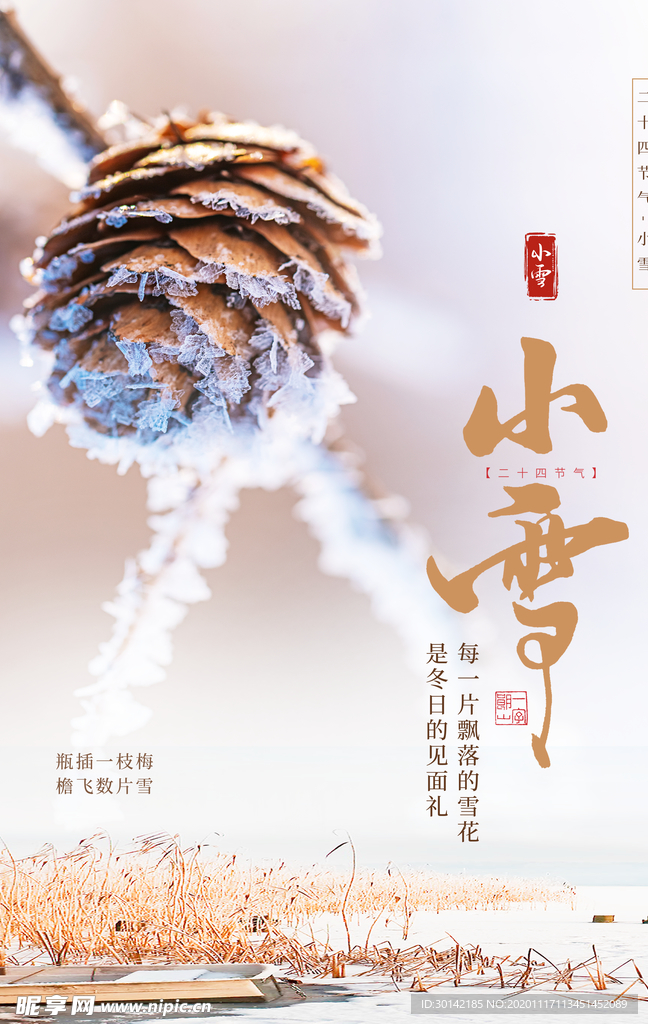 白色简约小雪二十四节气海报图片