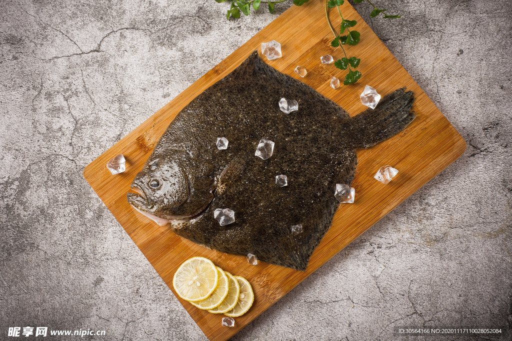 多宝鱼美食食材背景海报素材