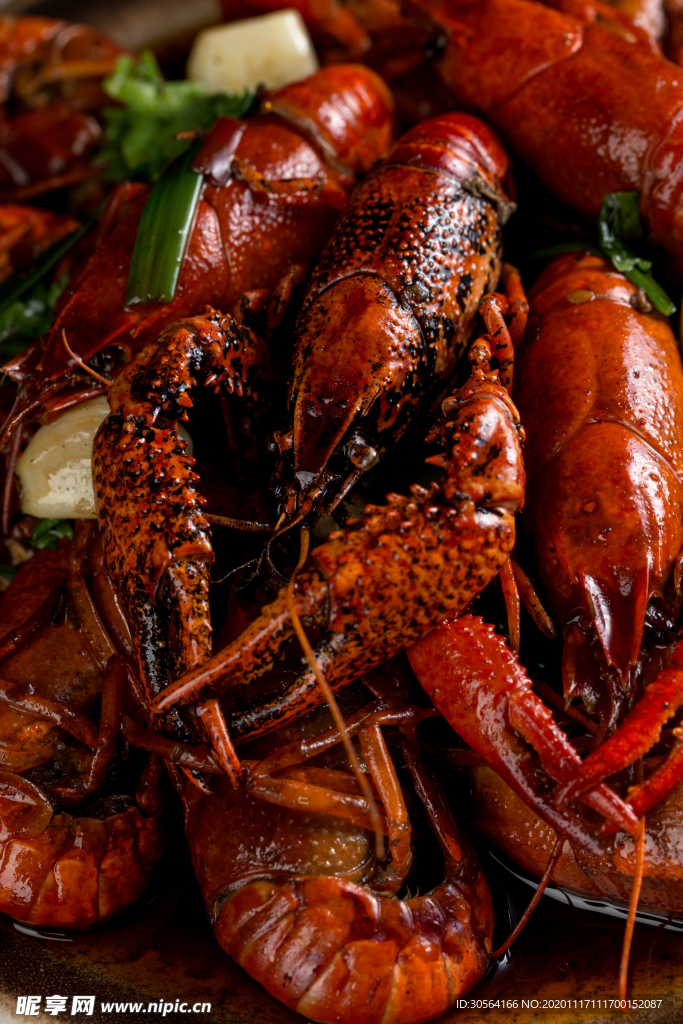 小龙虾美食食材背景海报素材