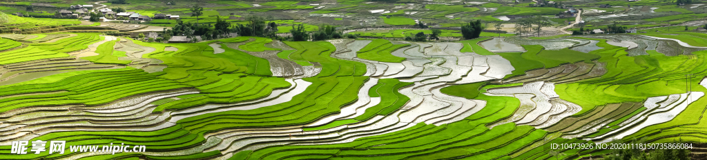 唯美梯田风景图片