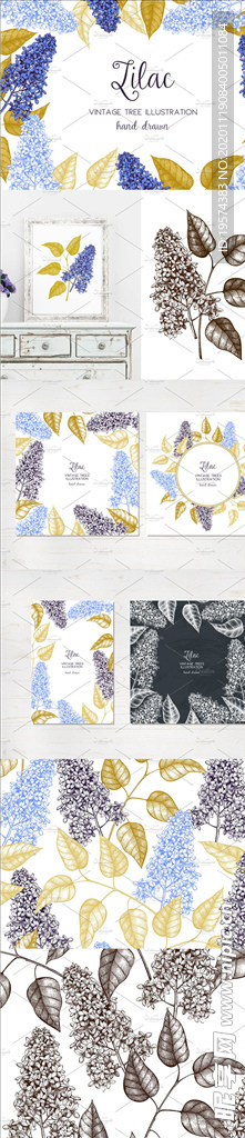 矢量丁香插图集