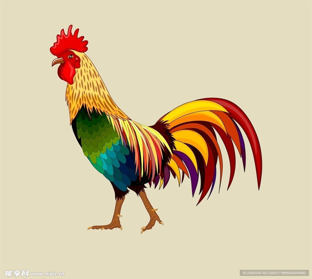 矢量公鸡