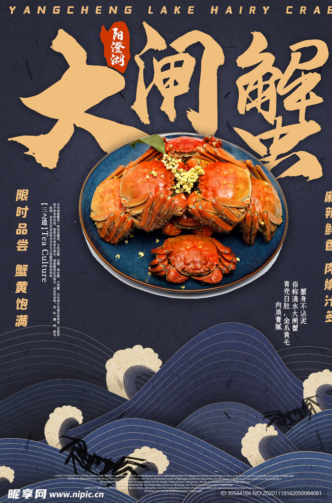 大闸蟹美食宣传活动海报素材