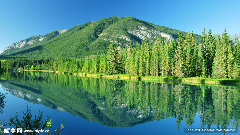 风景