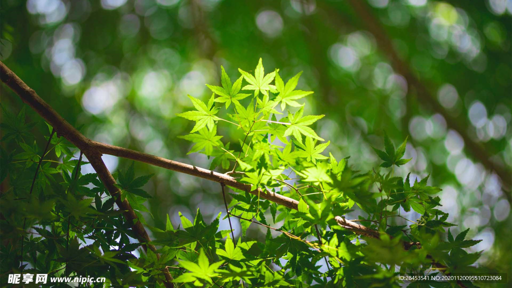 拍摄素材
