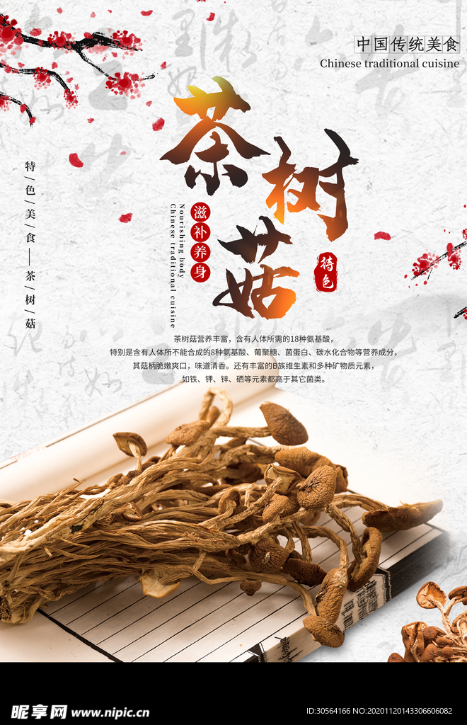 茶树菇美食食材宣传海报素材