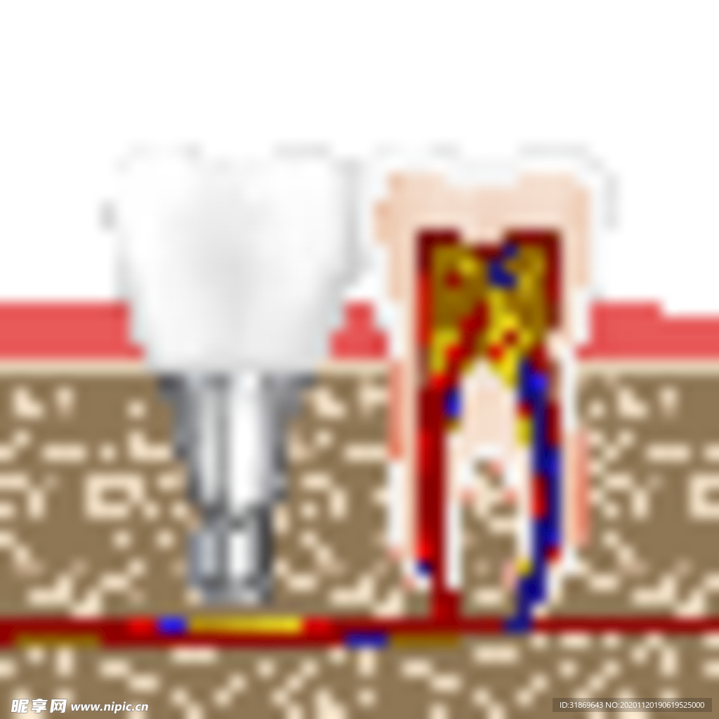 牙齿 口腔 医科