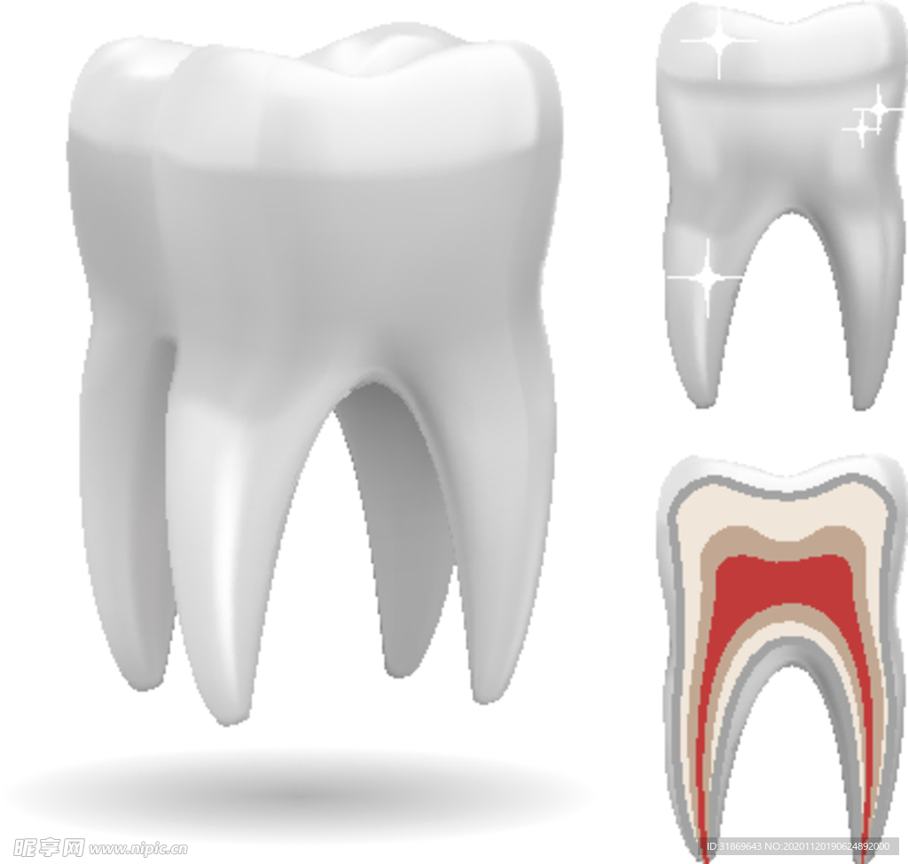 牙齿 口腔 医科