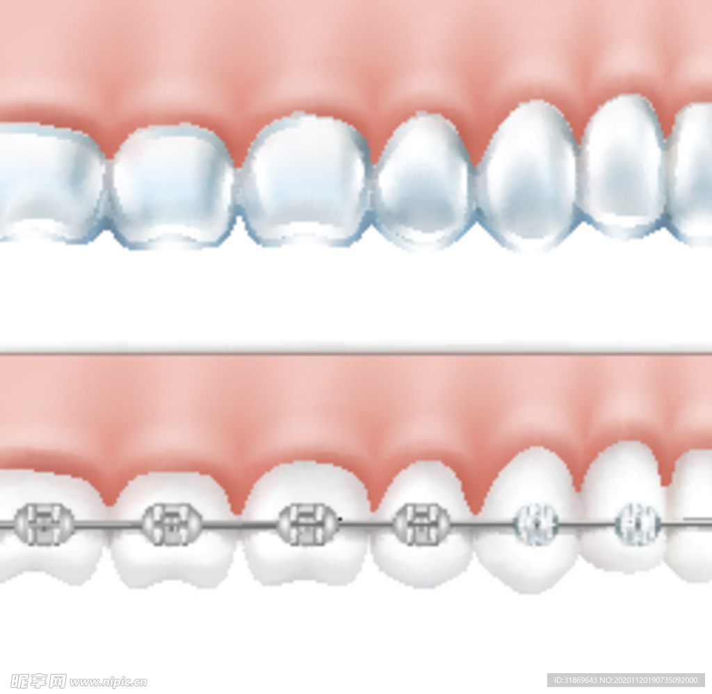 牙齿 口腔 医科
