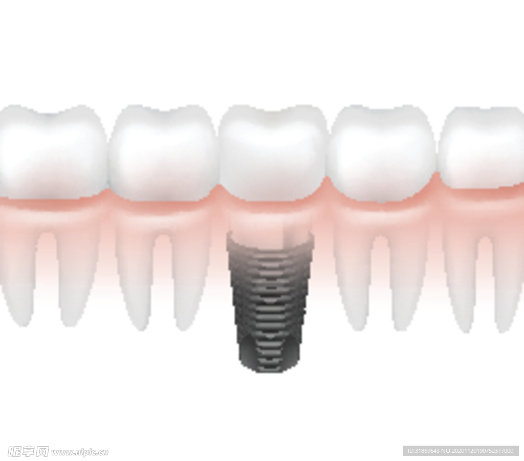 牙齿 口腔 医科