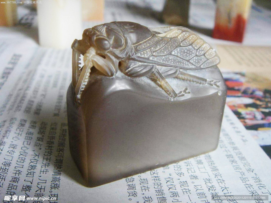 寿山石牛角冻蝉