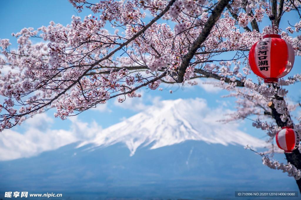 日本富士山