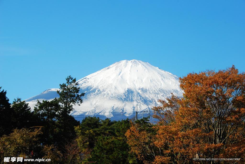 富士山