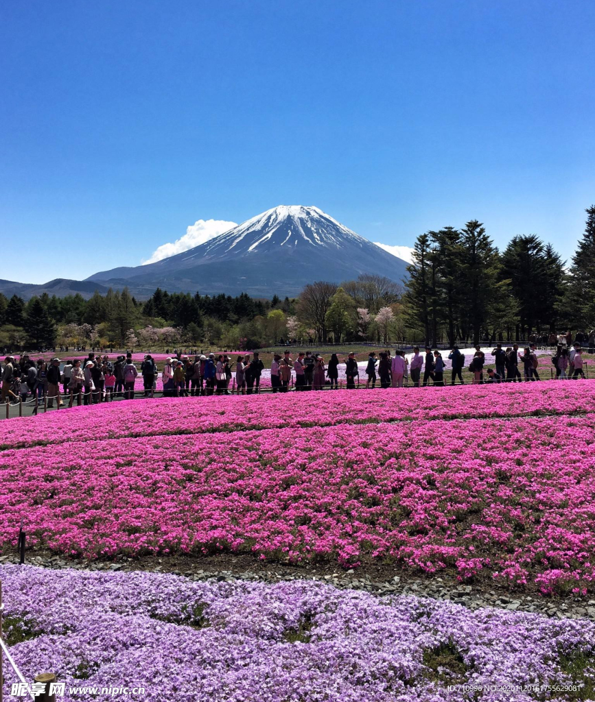 日本富士山