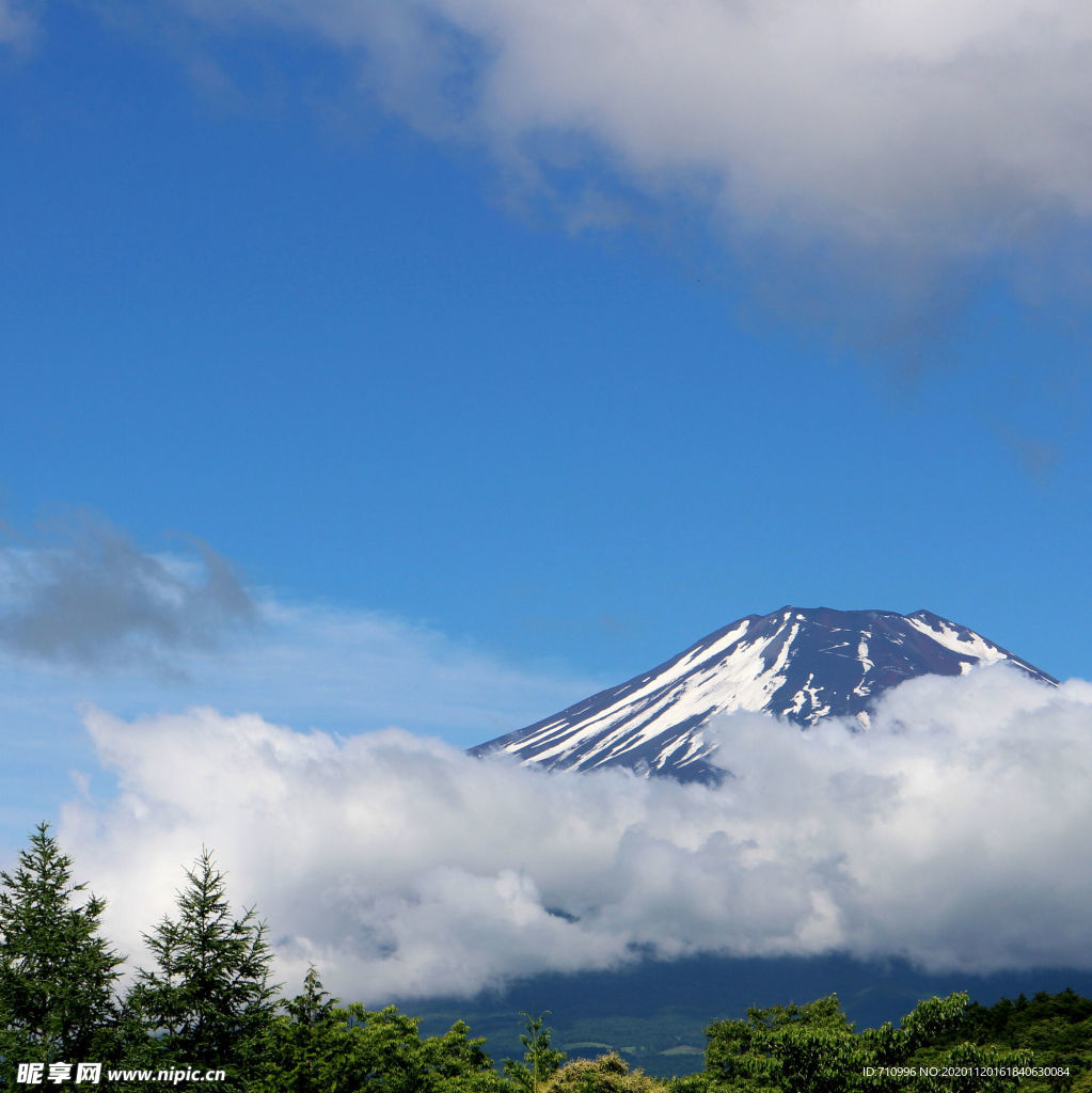 富士山