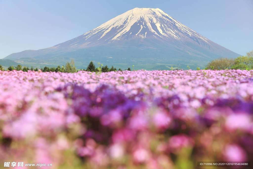 日本富士山